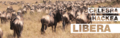 Banner gnu03.png